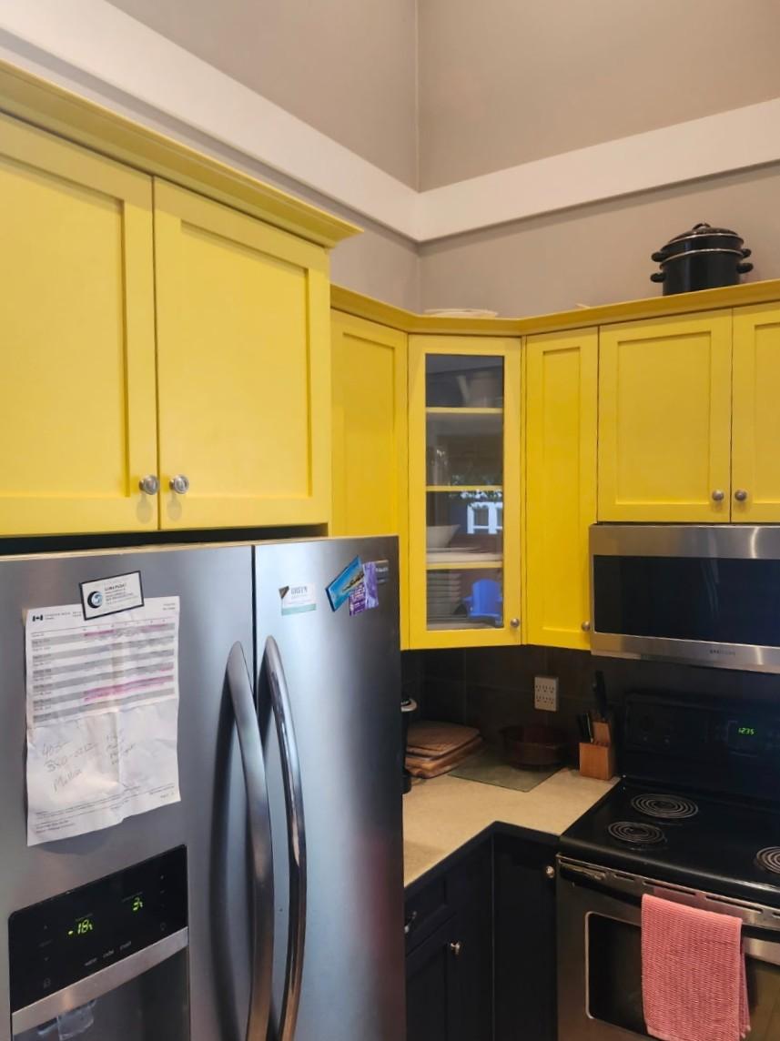 Kitchen Cabinets Renovation